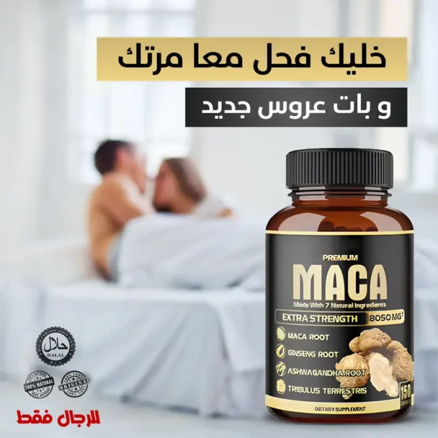 MACA