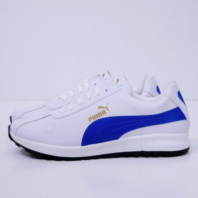 Puma bleu